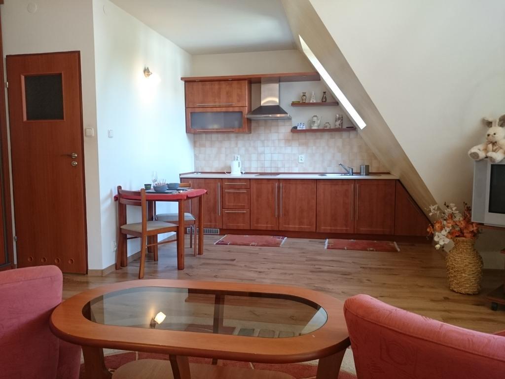 Zakopane - Apartament Z Widokiem Экстерьер фото