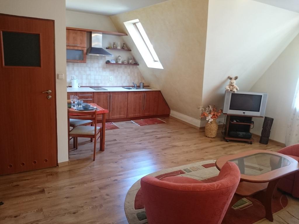 Zakopane - Apartament Z Widokiem Экстерьер фото