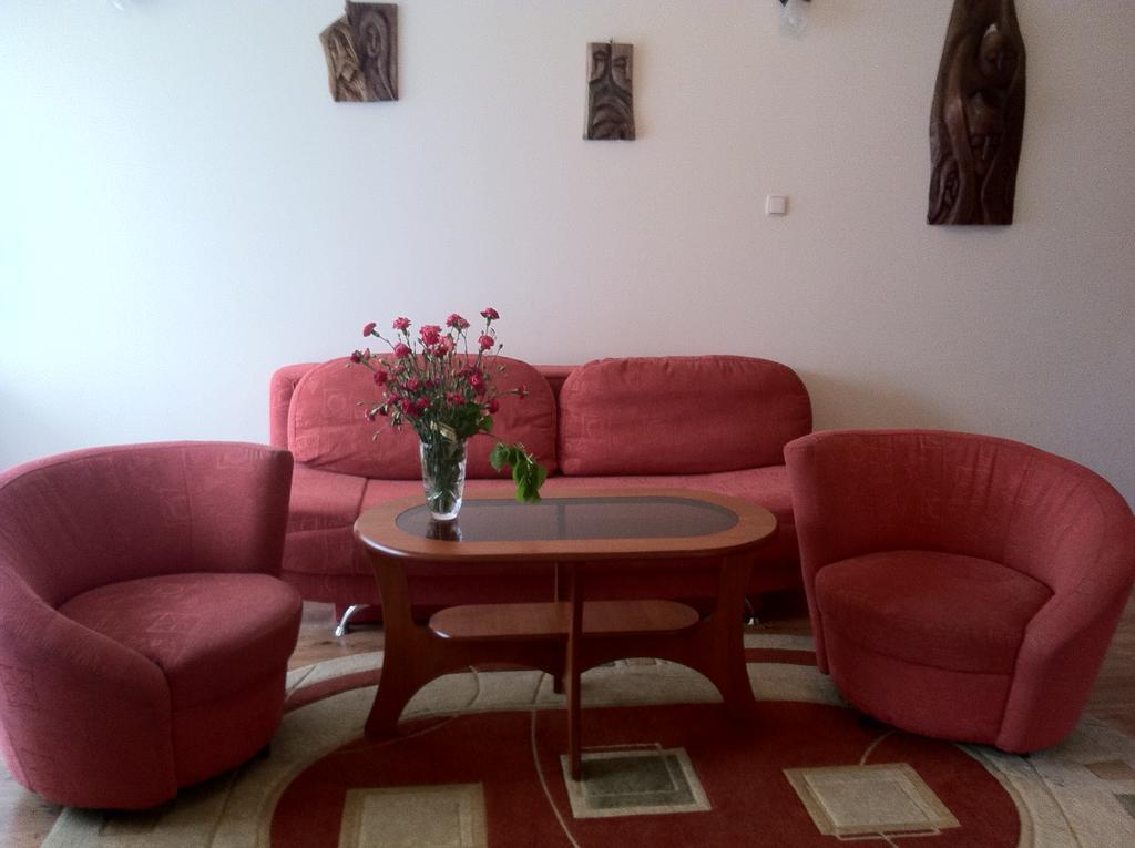 Zakopane - Apartament Z Widokiem Экстерьер фото