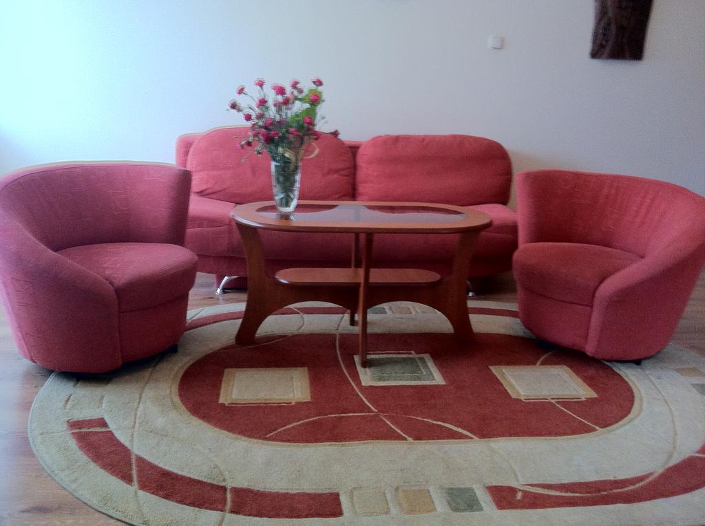 Zakopane - Apartament Z Widokiem Экстерьер фото